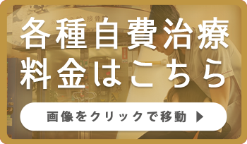 各種自費治療料金